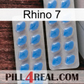 Rhino 7 23